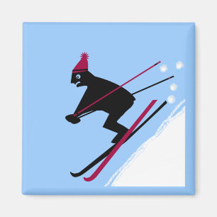 Learn to ski magnet
