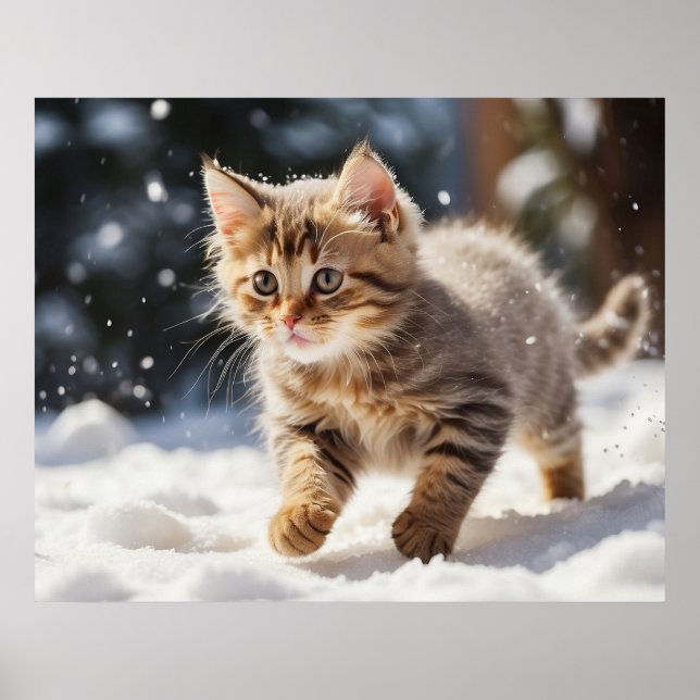 *~* Learning about Snow Kitty 5:4  Kitten Cat AP68 Poster (Front)