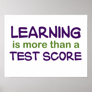 Learning is More than a Test Score Poster