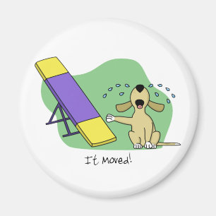 Learning the Teeter Agility Magnet