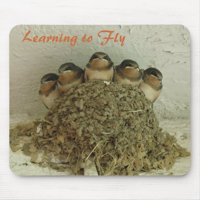 Learning to Fly Mouse Mat (Front)