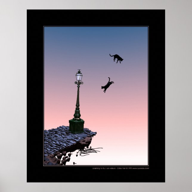 Learning to fly poster (Front)