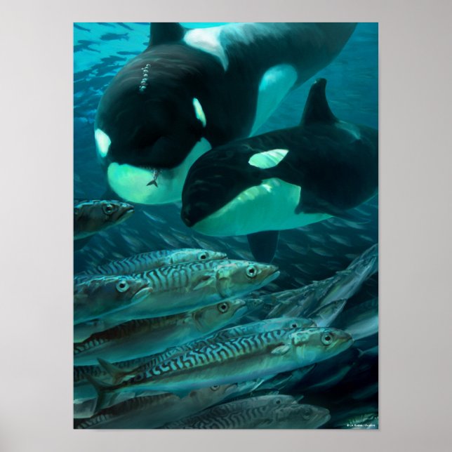 Learning to hunt mackerel poster (Front)