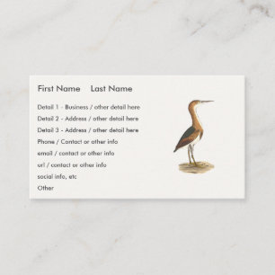 Least Bittern (Ixobrychus exilis) New York Birds Business Card
