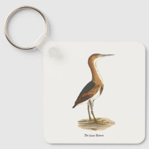 Least Bittern (Ixobrychus exilis) New York Birds Key Ring