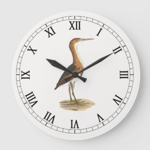 Least Bittern (Ixobrychus exilis) New York Birds Large Clock
