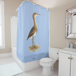 Least Bittern (Ixobrychus exilis) New York Birds Shower Curtain