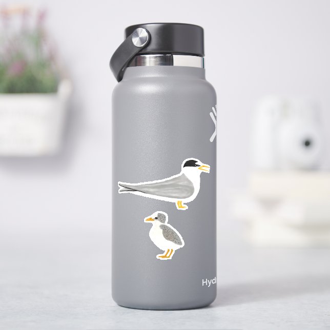 Least Tern with its Chick (HydroFlask)