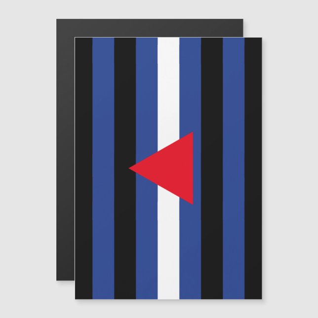 Leather Queer Pride Flag Magnetic Invitation (Front/Back)