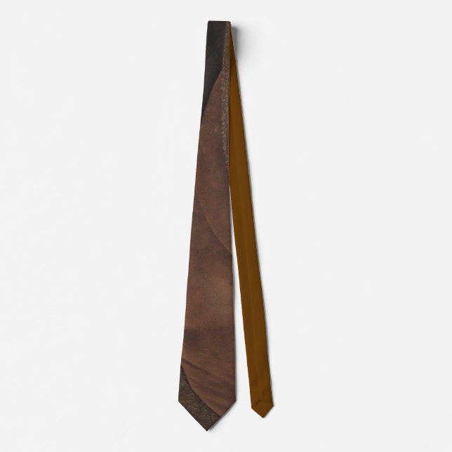 Leather & suede tie (Front)