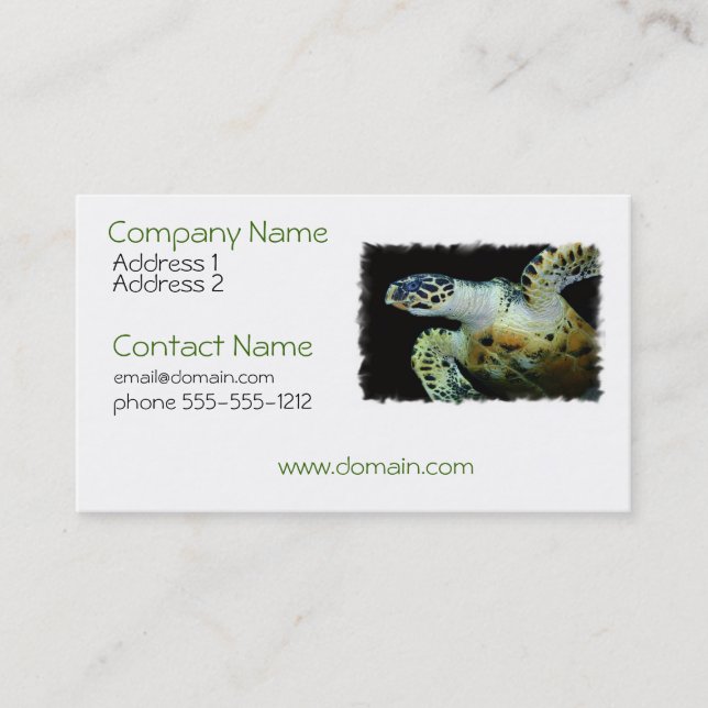 Leatherback Sea Turtle Business Card (Front)