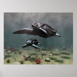 Leatherback turtle poster