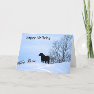 Leave a Trail 2 - Inspirational Quote - Black Lab Card