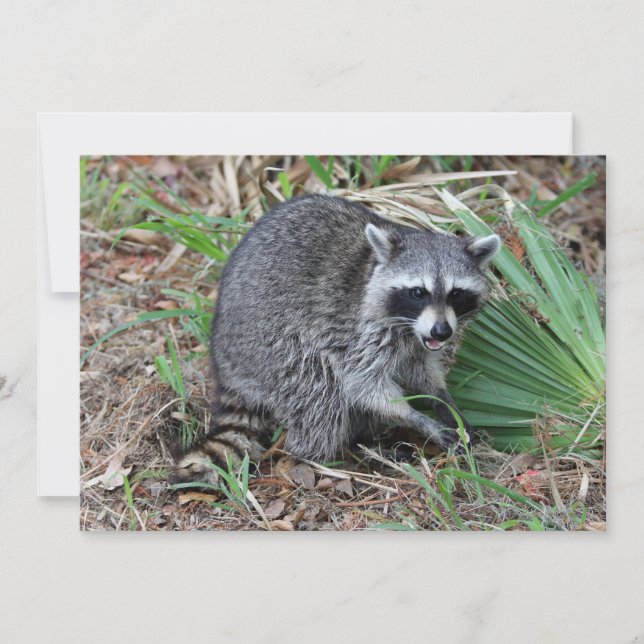 Leave Me Alone Card (Front)