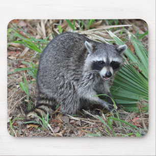 Leave Me Alone Mouse Mat