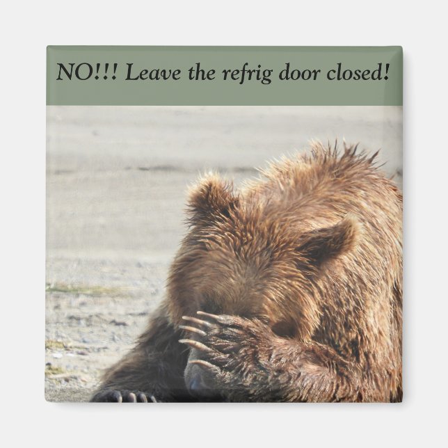 Leave refrig door closed magnet (Front)