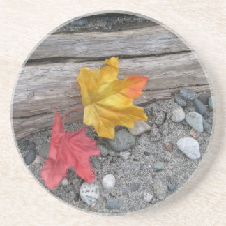 Leaves Adrift Coaster