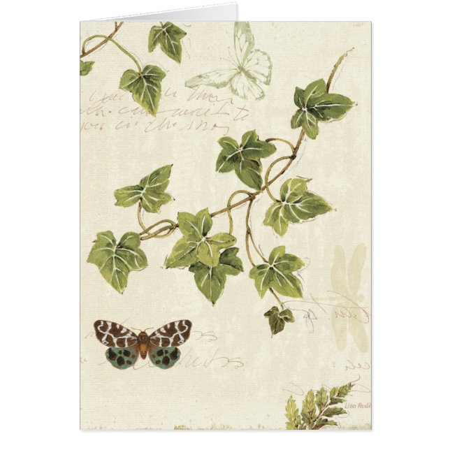 Leaves and a Butterfly (Front)