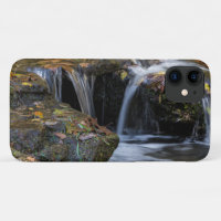 Leaves And Waterfalls iPhone Case