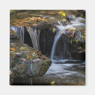 Leaves And Waterfalls Magnet