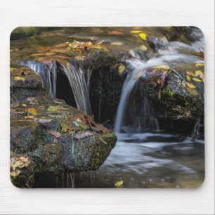 Leaves And Waterfalls Mouse Mat