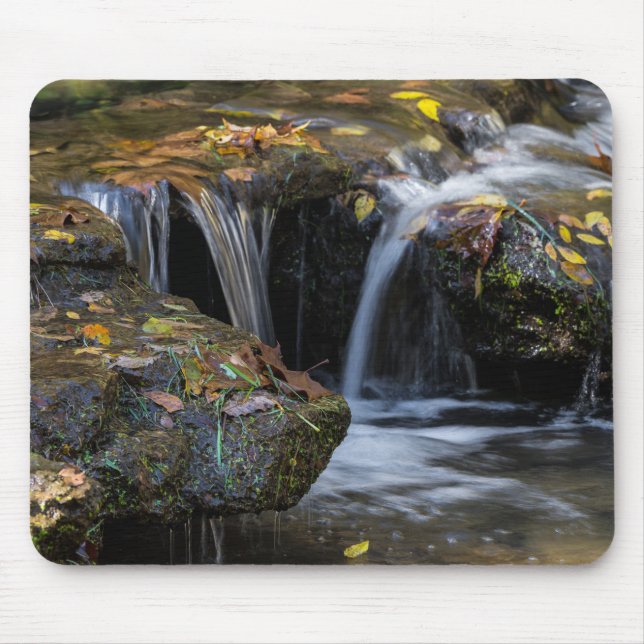 Leaves And Waterfalls Mouse Mat (Front)