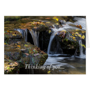 Leaves And Waterfalls Thinking Of You Card