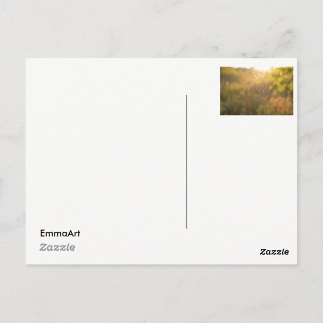 Leaves at Sunset Postcard (Back)