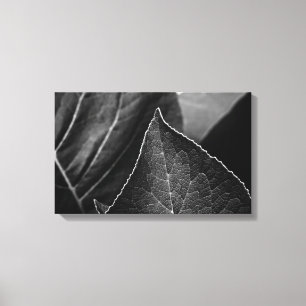 leaves being canvas print