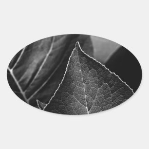 leaves being oval sticker