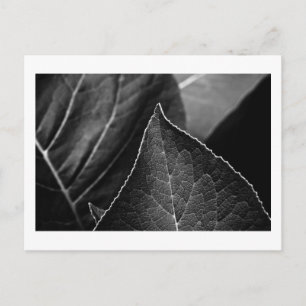 leaves being postcard