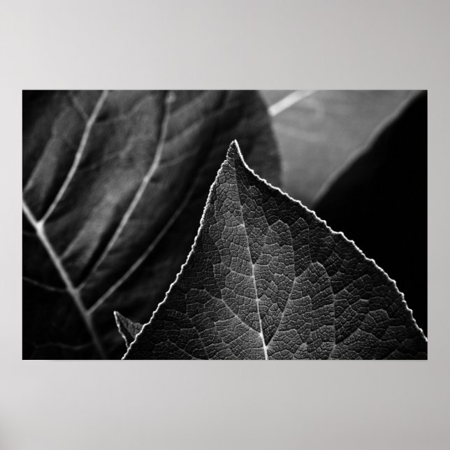 leaves being poster (Front)