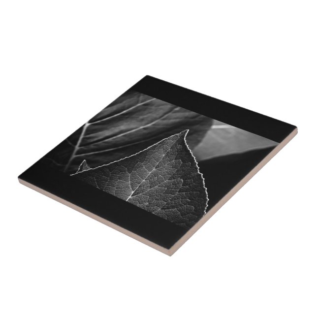 leaves being tile (Side)