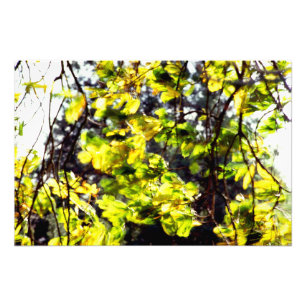 Leaves Blowing in the Wind Photo Print
