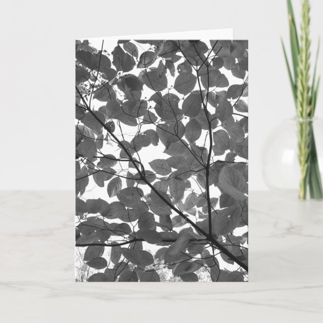 Leaves Card (Front)