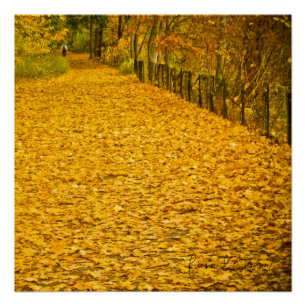LEAVES GONE WILD FALL FOLIAGE POSTER