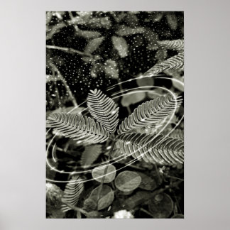 Leaves - Green Poster