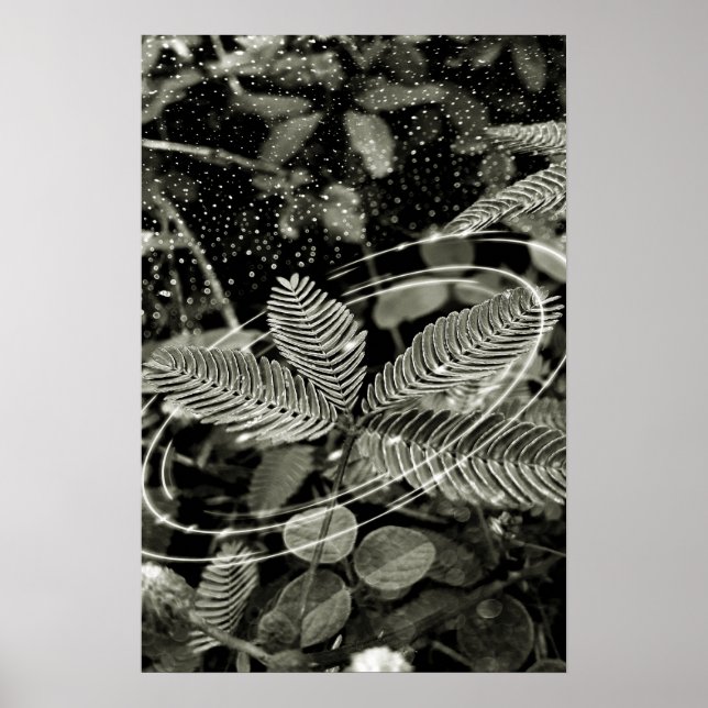 Leaves - Green Poster (Front)