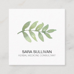 Leaves Herbal Medicine Herbs  Square Business Card