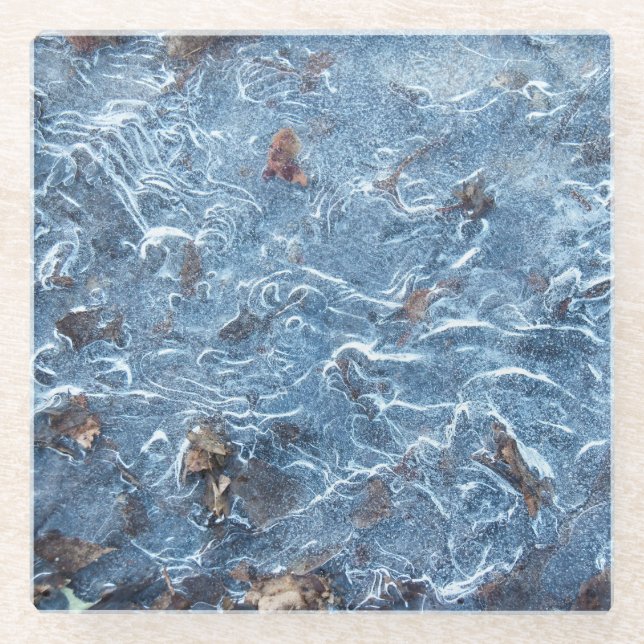 Leaves In Ice (Blue) Glass Coaster (Front)