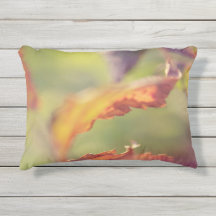 Leaves in the wind
