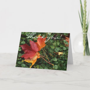 Leaves Landscape - Thank you! You Card