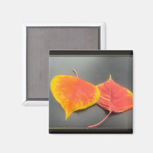 Leaves Magnet