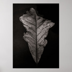 Leaves No 5 Poster