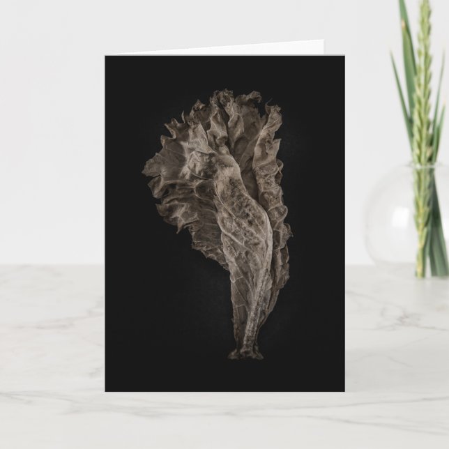 Leaves No 8 Colour Version Card (Front)