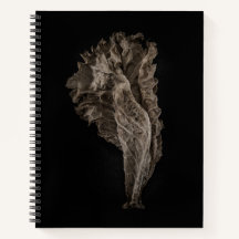 Leaves No 8 Colour Version