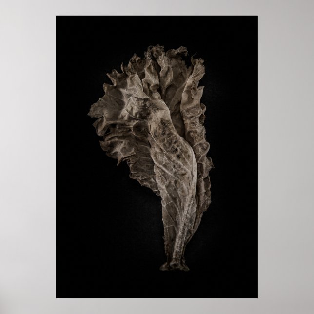 Leaves No 8 Colour Version Poster (Front)