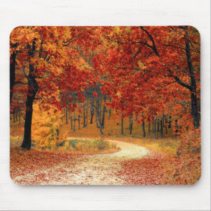 Leaves of Autumn Trail Mouse Mat