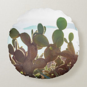Leaves of cactus. Plant outdoor with flare light i Round Cushion