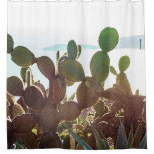 Leaves of cactus. Plant outdoor with flare light i Shower Curtain